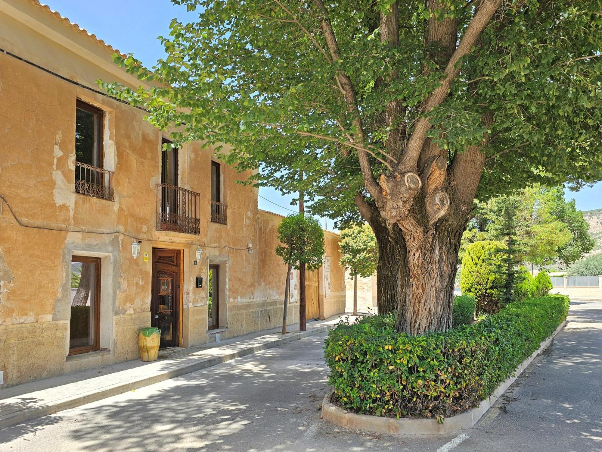 Bed and Breakfast Casa Rodriguillo Pinoso Exteriér fotografie